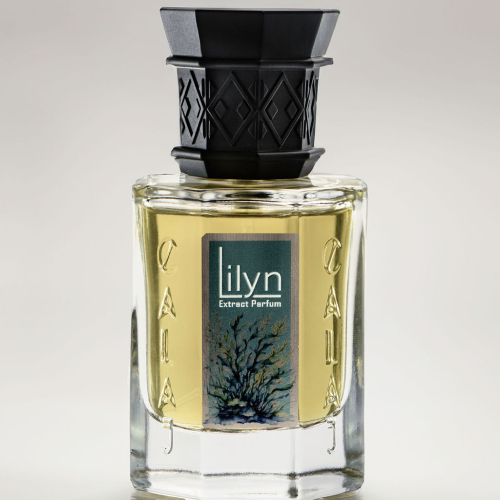 Lilyn