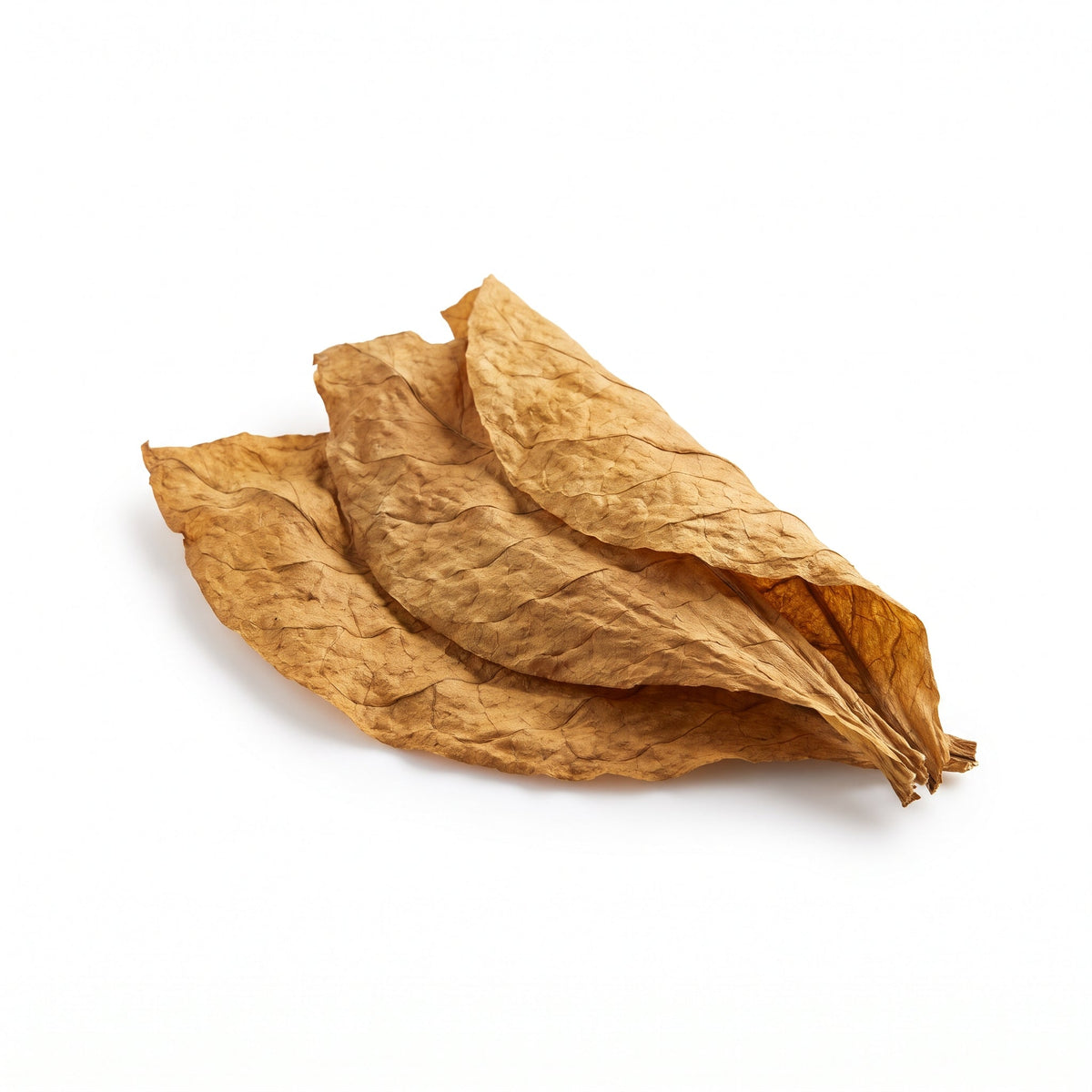Tobacco Perfumes