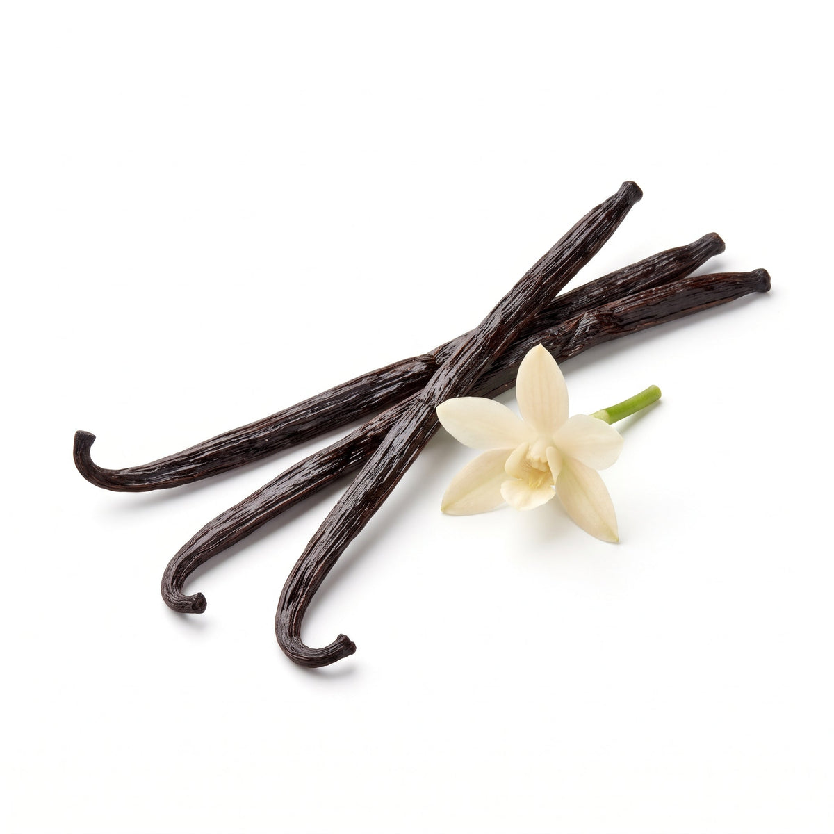 Vanilla Perfumes