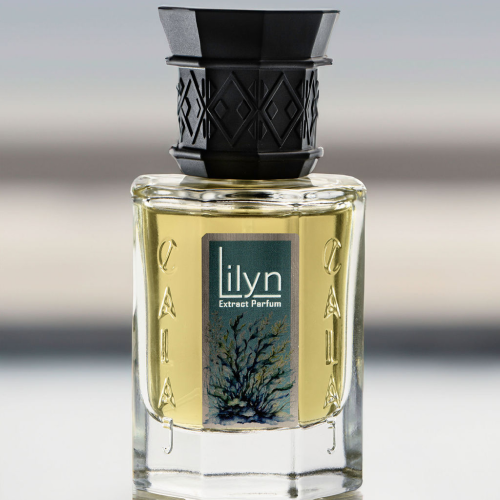 Lilyn