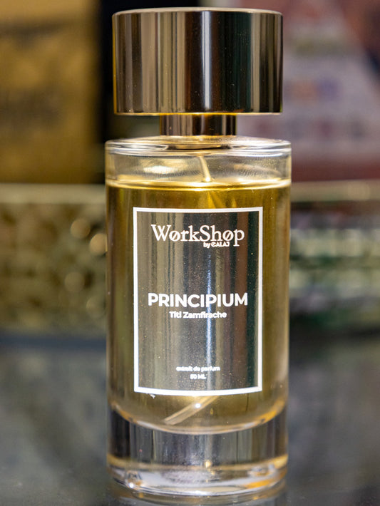 PRINCIPIUM