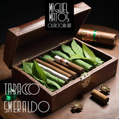 tobacco smeraldo Gem Series Amber Delecta Smooth Fiammata (Smeraldo) Smooth Bent Dublin with Silver (C) Pipe Tabacco Smeraldo Miguel Matos perfume